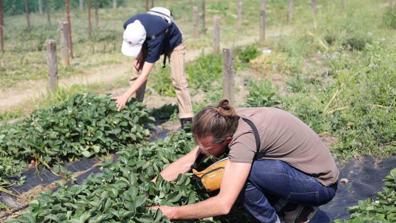 Fransa’dan gelip Nilüfer’in sağlıklı gıda politikalarını incelediler