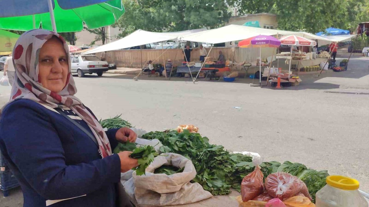 5 çocuk annesi, asma yaprağı satarak aile ekonomisine destek oluyor