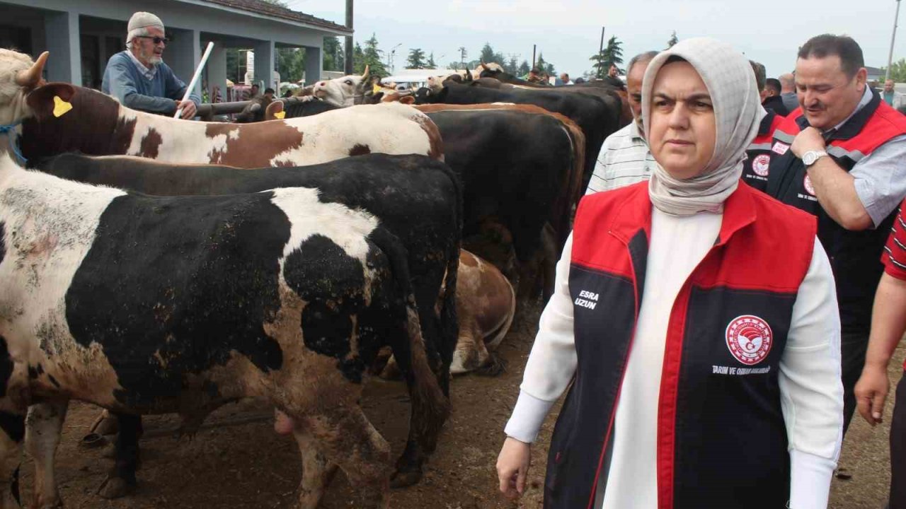 Düzce’de Kurban Bayramı öncesi sıkı denetim