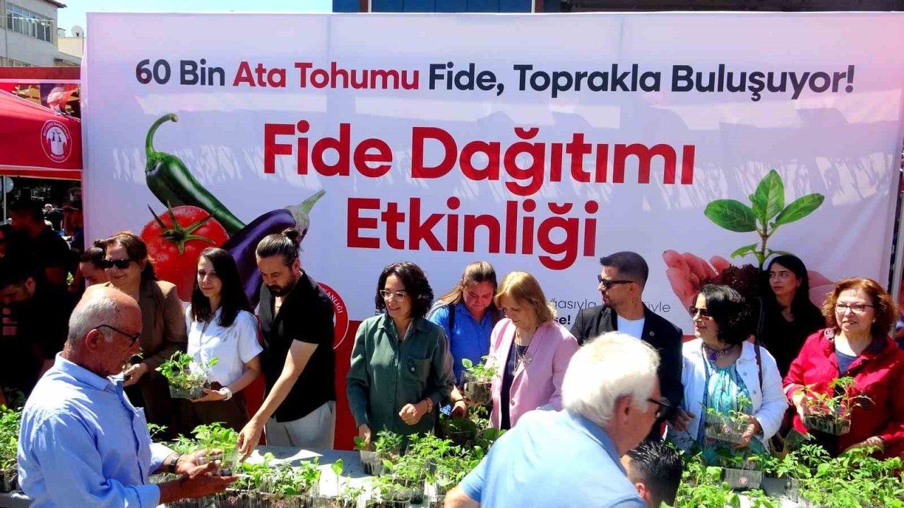 Menteşe Belediyesi 60 bin fide dağıttı