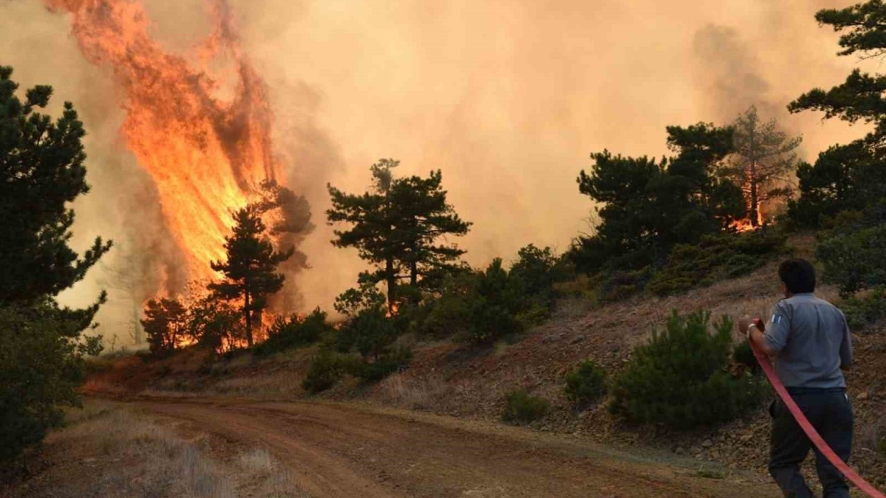 Eskişehir ve Afyonkarahisar’da ormanlık alanlara girişler yasaklanıyor