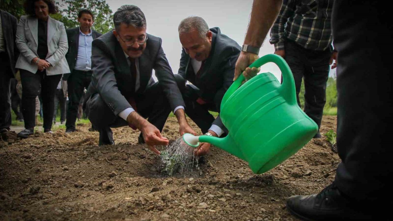Vali Ali Çelik: "Bu toprakları birlikte yeşerteceğiz"