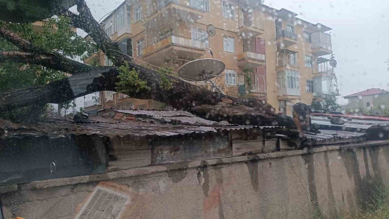 Kırıkkale’de fırtına ağacı devirdi