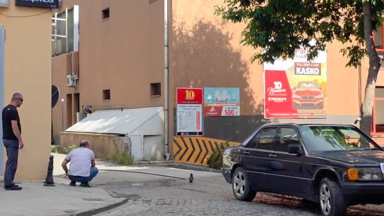 Erzincan’da yavru kargayı vatandaşlar kurtardı