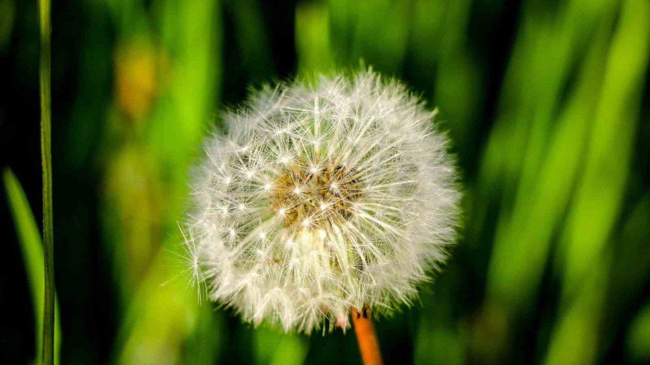 ’Sakin Şehir’ Şavşat’tan kartpostallık görüntüler