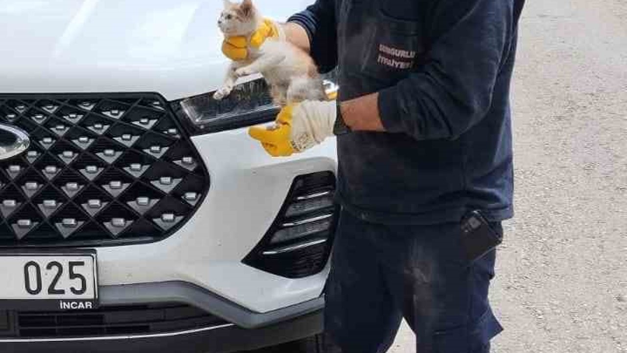 Cipin motor kısmına sıkışan yavru kediyi itfaiye kurtardı
