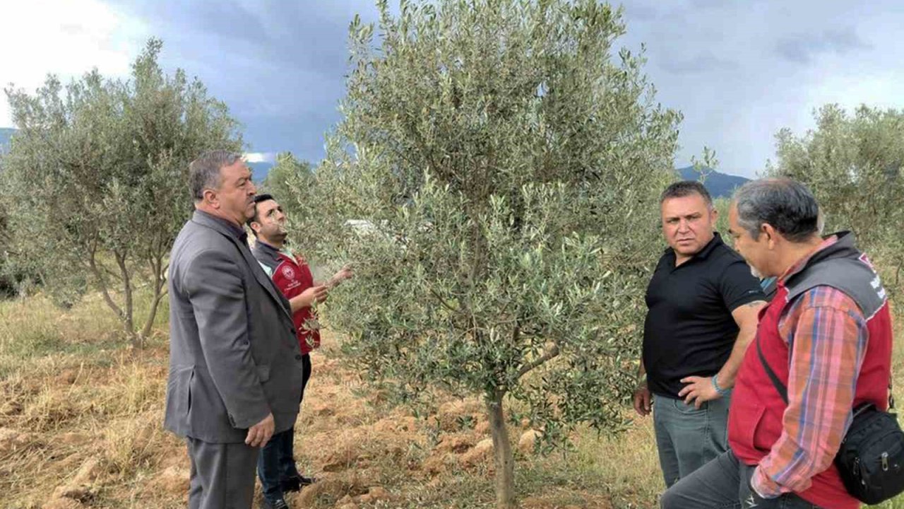 Dolunun vurduğu Esençay’da hasar tespiti yapıldı