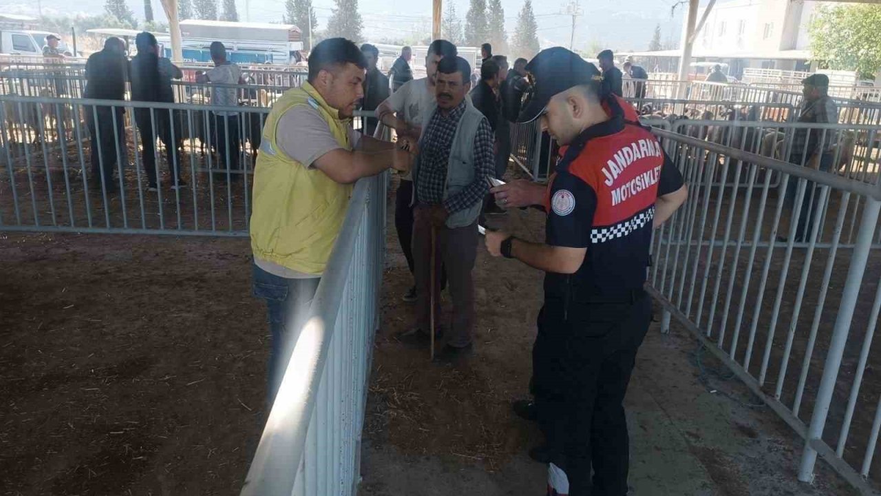 Kurban Bayramı öncesi jandarmadan vatandaşa dolandırıcılık uyarısı