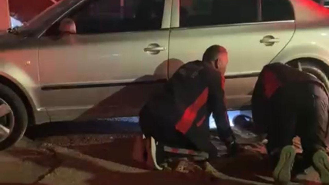 Farklı noktalarda mahsur kalan kedilere itfaiyeden yardım eli