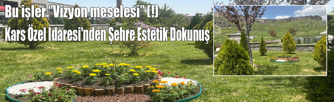 Kars Özel İdaresi'nden Şehre Estetik Dokunuş