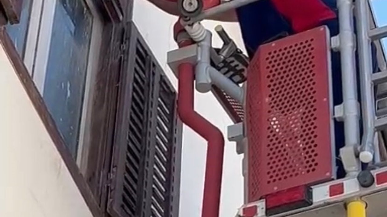 Ayağına ip dolanan kırlangıca itfaiyeden müdahale