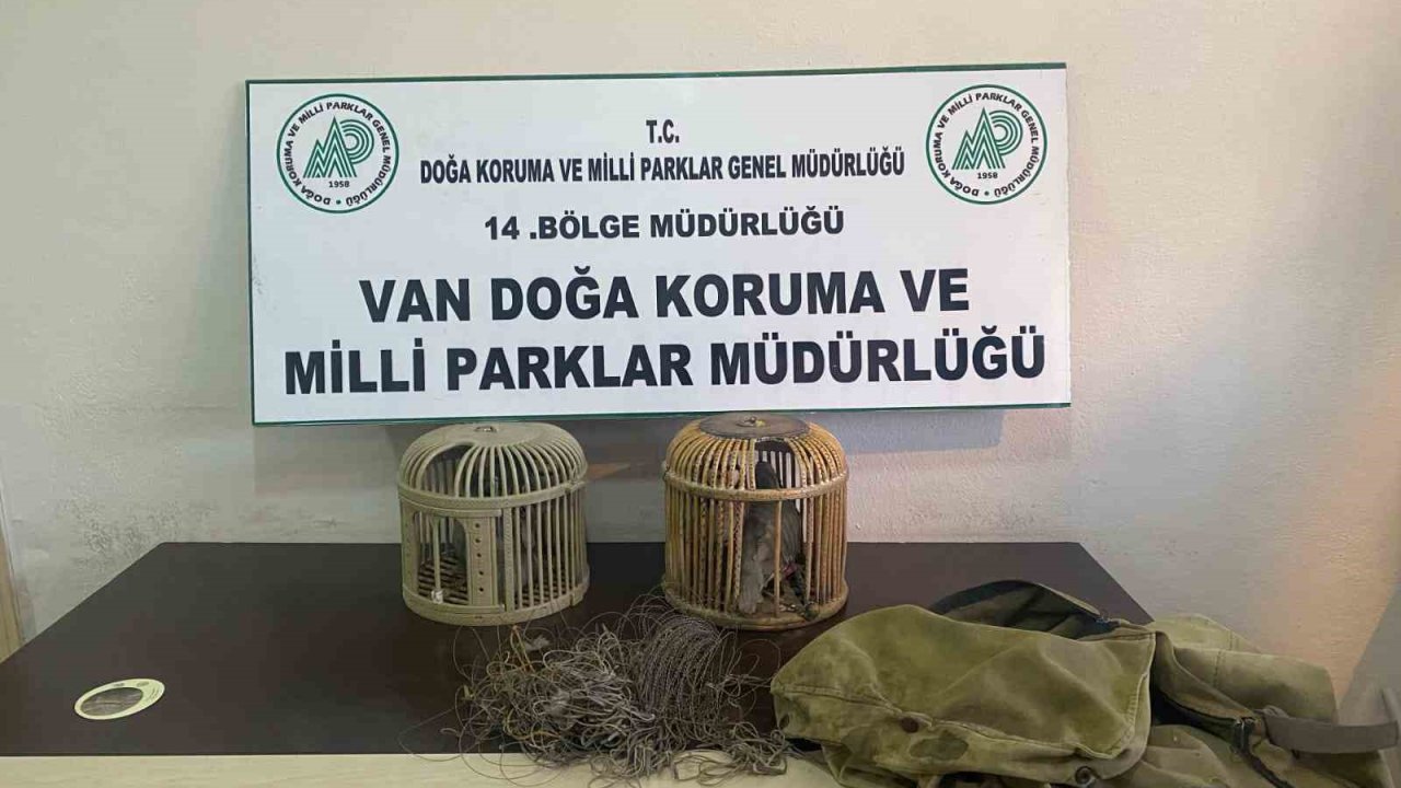 Van’da kaçak keklik avlayan bir kişiye 49 bin 219 lira ceza