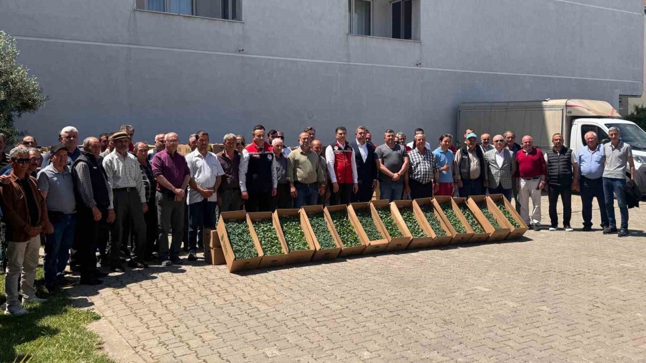 Tekirdağ’da 314 üreticiye 283 bin sebze fidesi dağıtıldı
