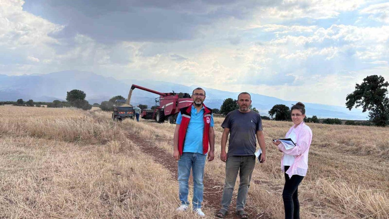 Manisa’da biçerdöverler takip altında