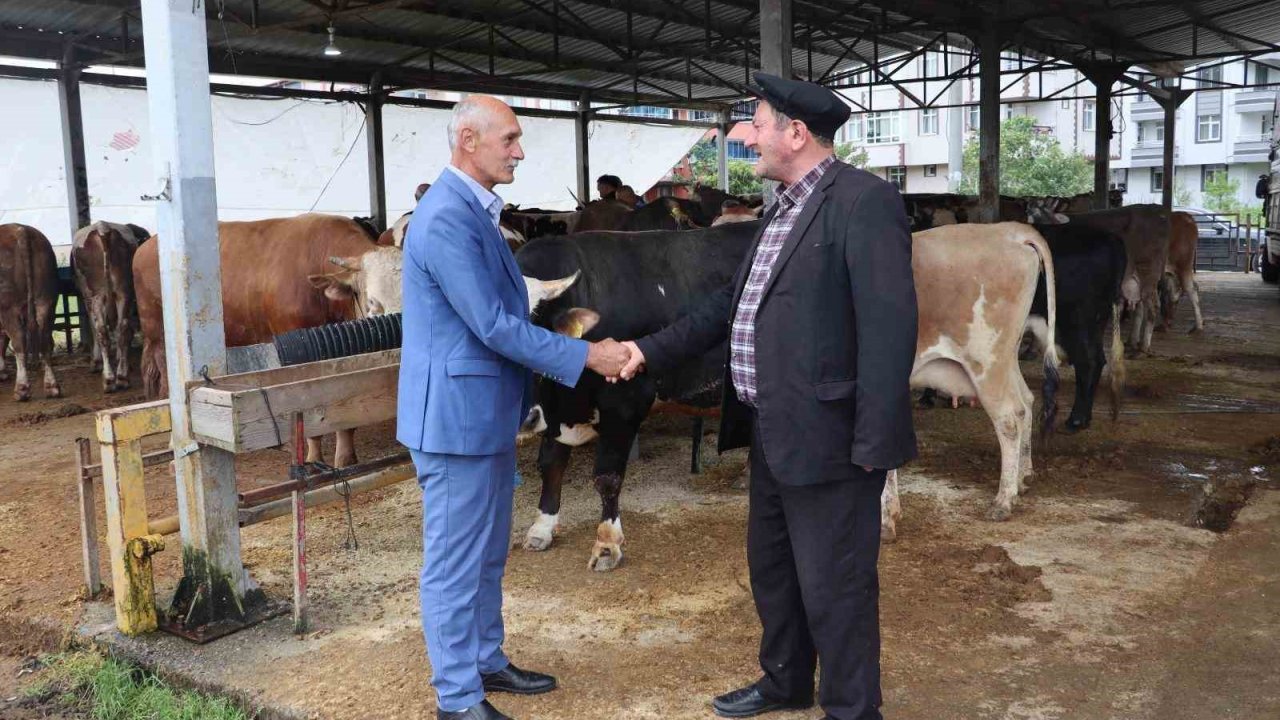 Ordu Büyükşehir, Kurban Bayramı hazırlıklarını tamamladı