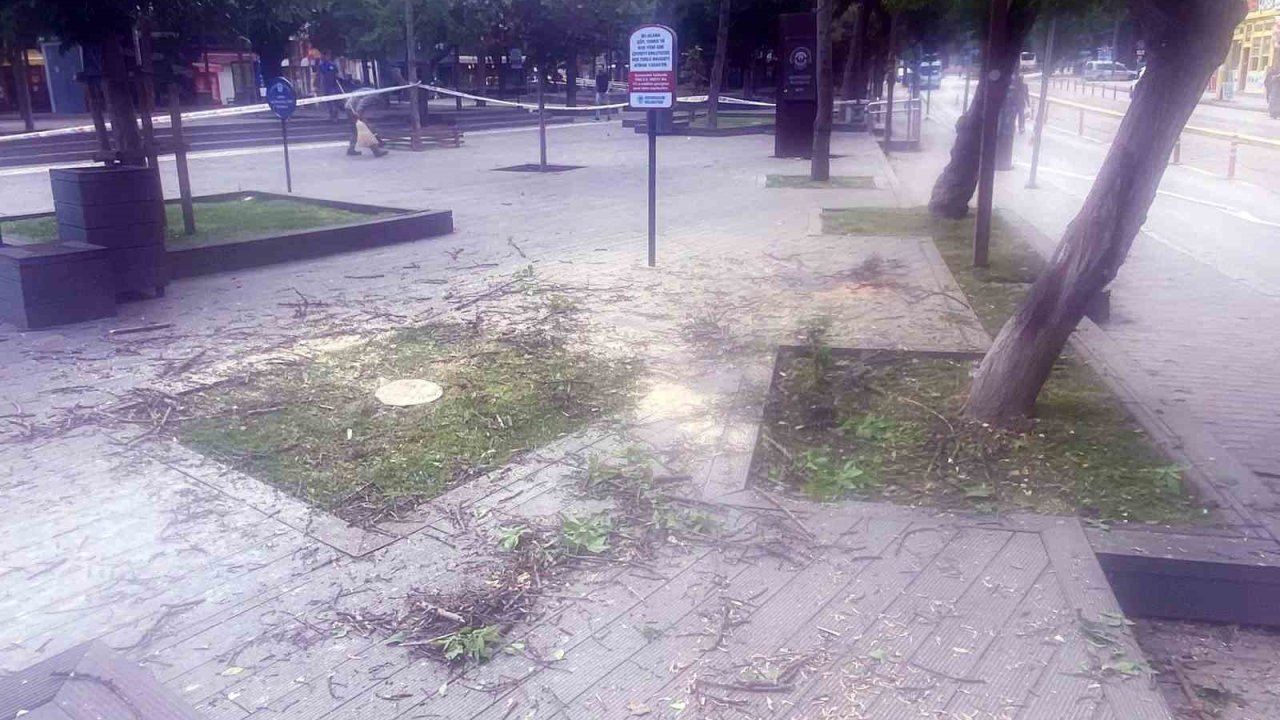 Başkan Vural’dan Hamamyolu’ndaki ağaç kesimine tepki