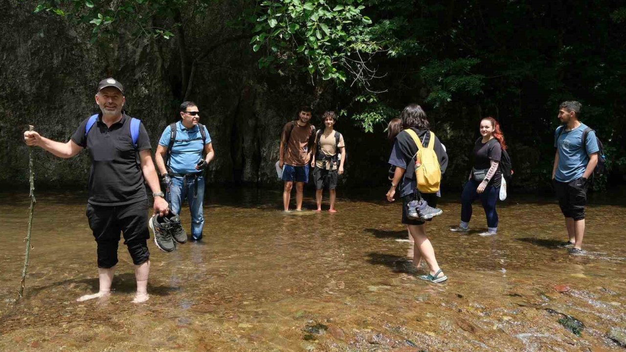 Türkiye’nin yeşil cenneti içinde büyüleyici bir yolculuk