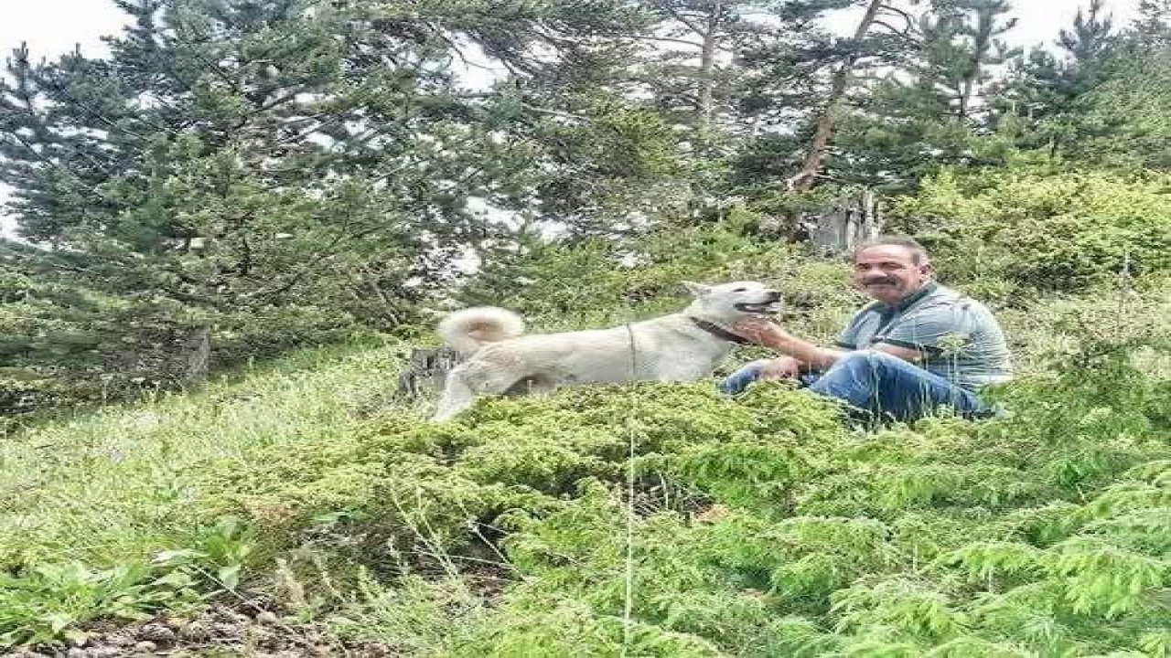 Alanya’da kamyon ile damper arasında sıkışan şoför hayatını kaybetti