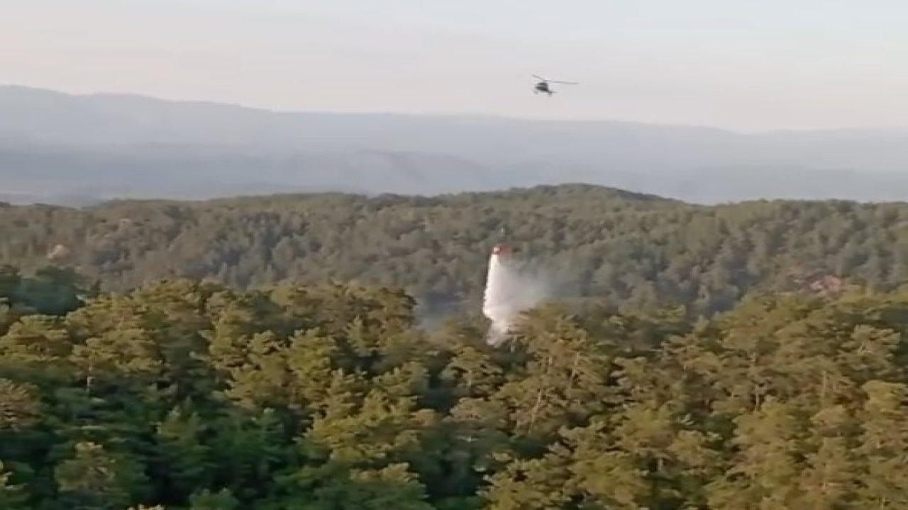 Aydın ve Muğla’daki orman yangınlarına hızlı müdahale