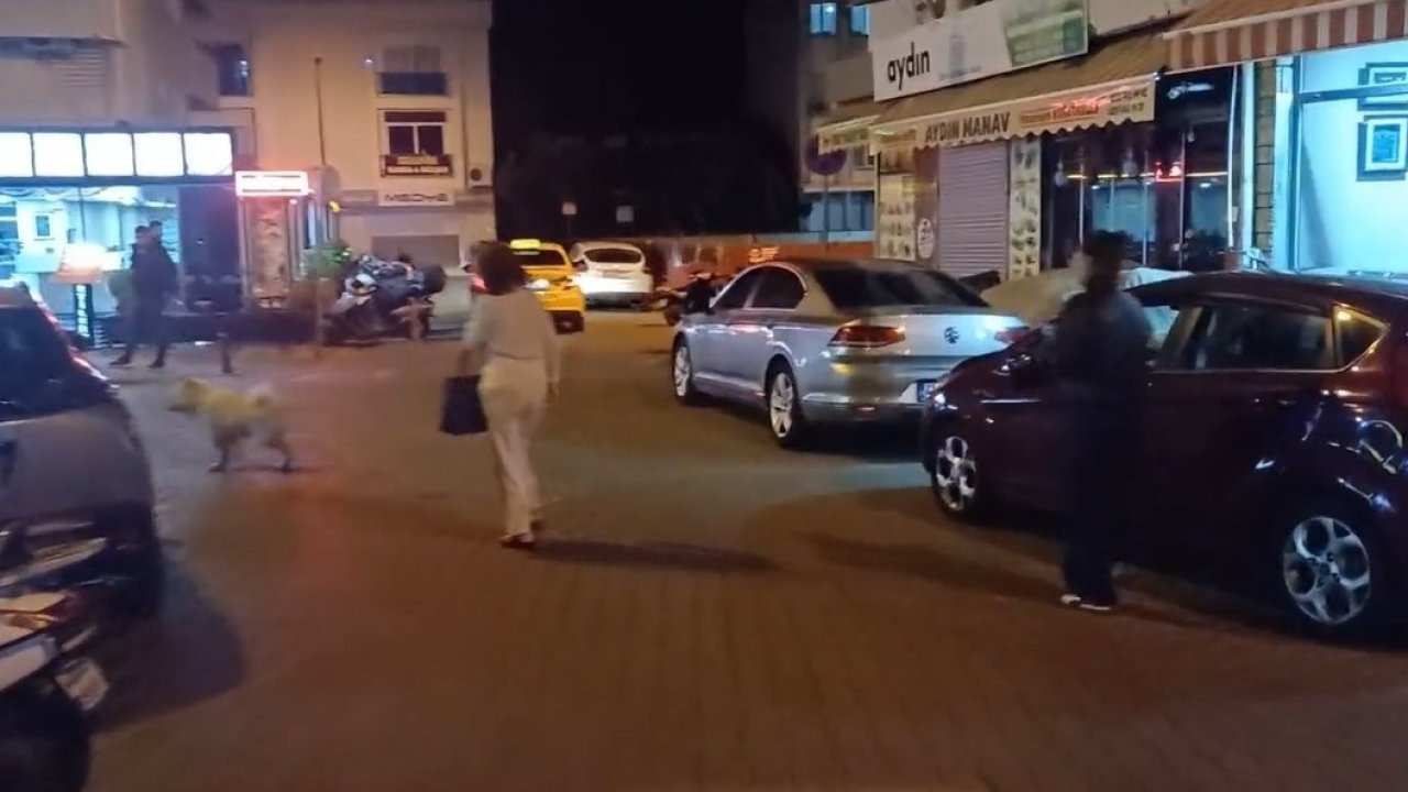 Muğla Valiliği: "Herhangi bir olumsuzluk yok, saha tarama çalışmaları sürüyor"