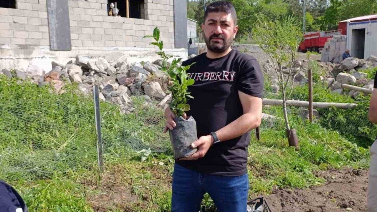 Ardahan’da bir ilk; Çay kökleri toprakla buluştu