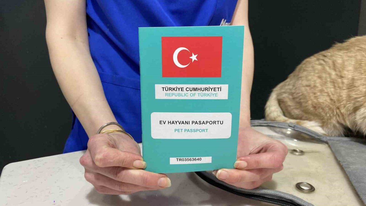 Bayramda evcil hayvan ile seyahat edecek yolcuların dikkat etmesi gerekenler