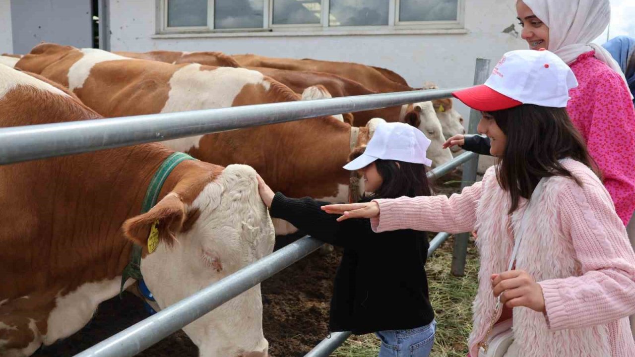 Aileyle üretim yolculuğu: Modern tesislerden tandıra, nesiller buluştu