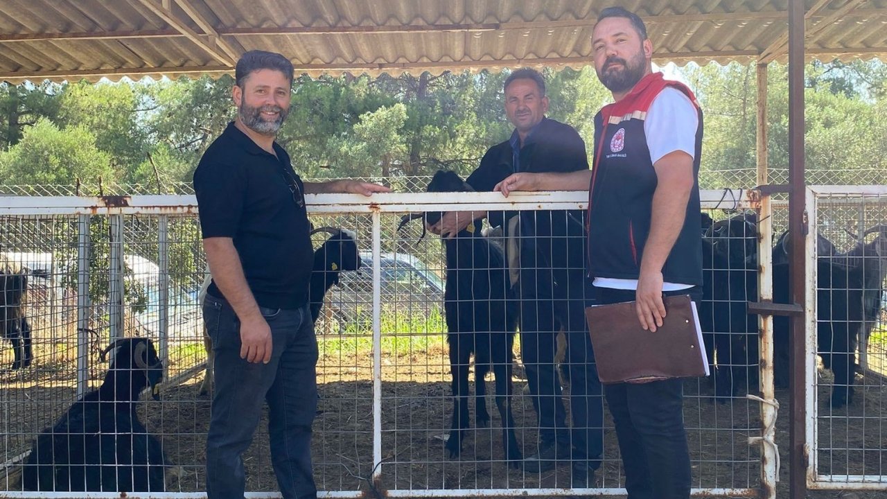 Karacasu’da kurban satış yerleri denetlendi