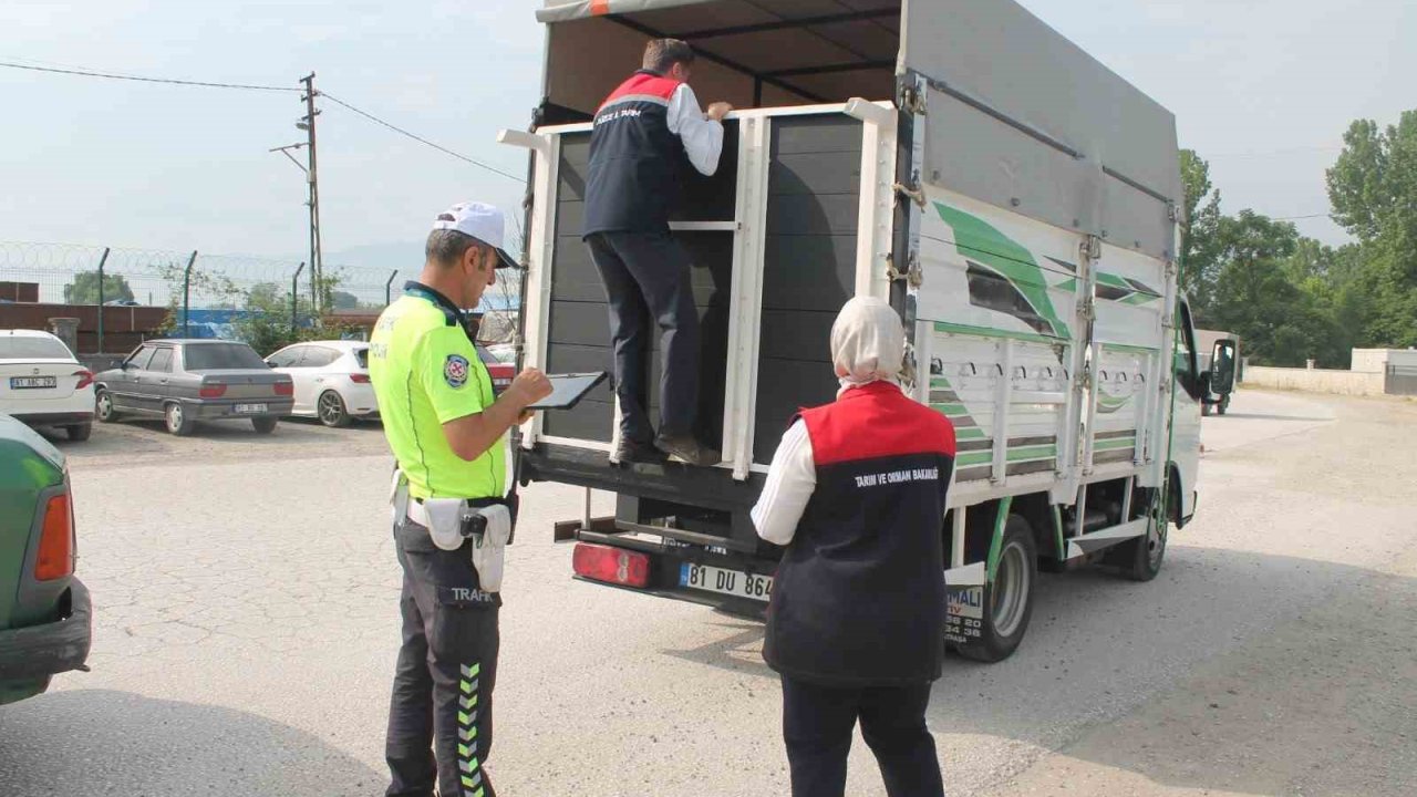 Hayvan pazarında sıkı denetim