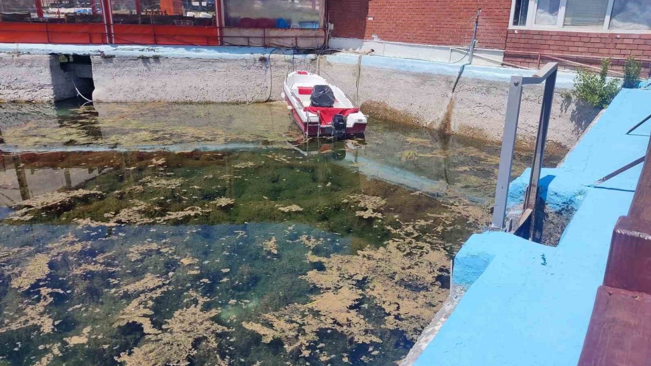 DSİ izinsiz boşaltılan Sakaryabaşı için hukuki süreç başlattı