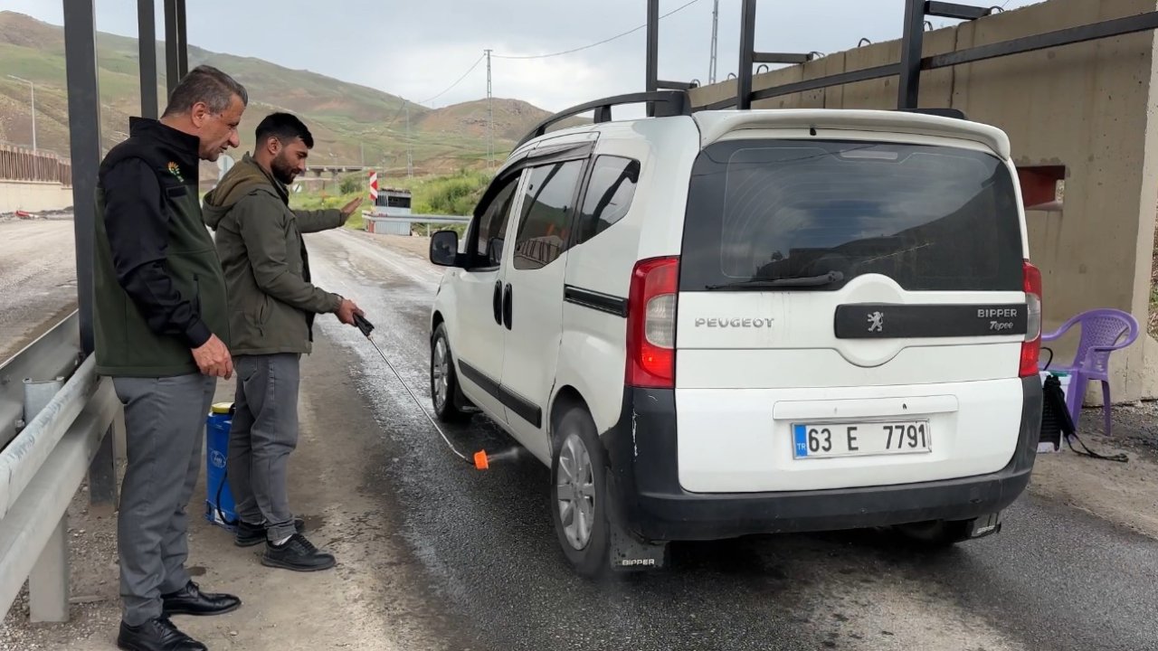 Yüksekova’da şap hastalığı alarmı