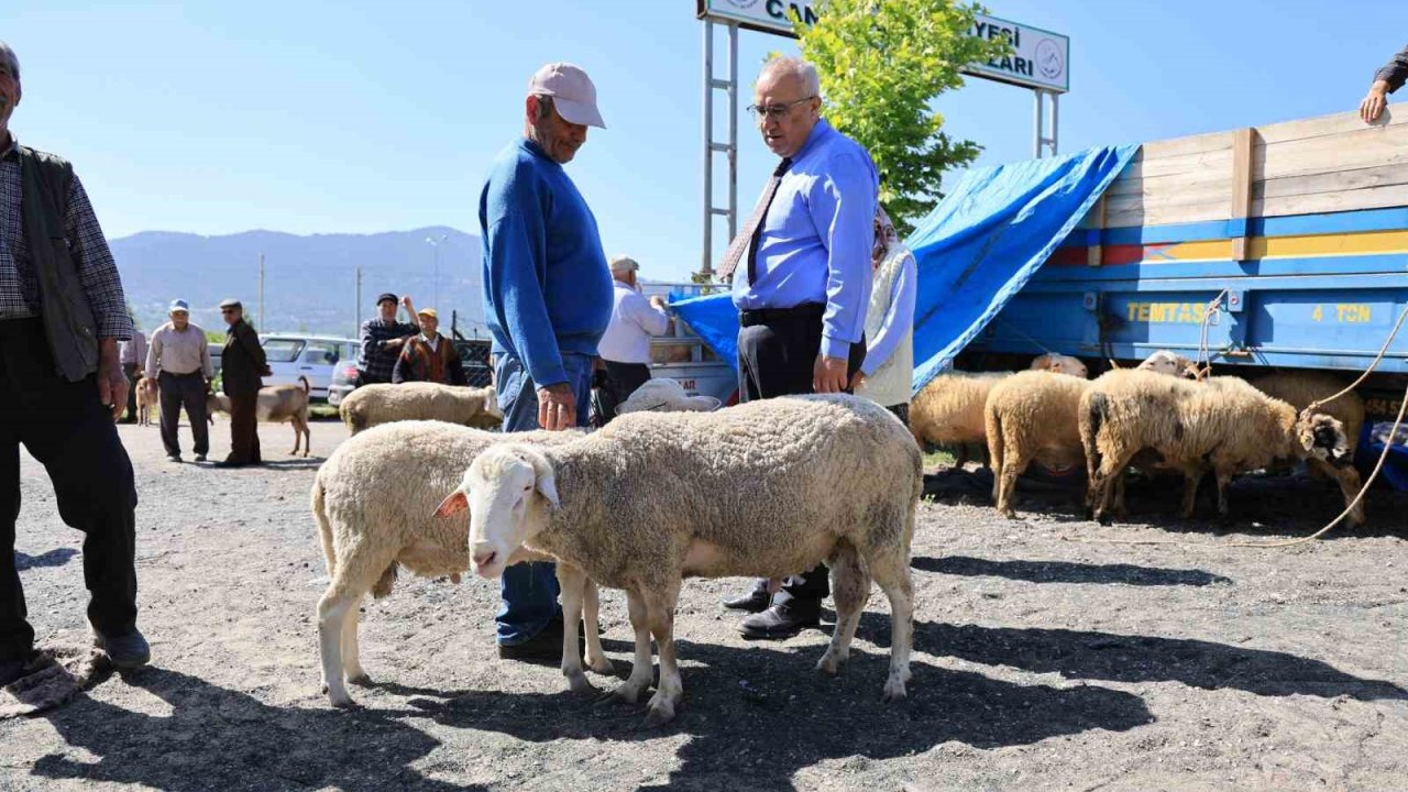 Başkan Arslan; "Üreticilerimizin emeğiyle, hemşehrilerimiz güvenle kurbanlıklarını temin ediyor"