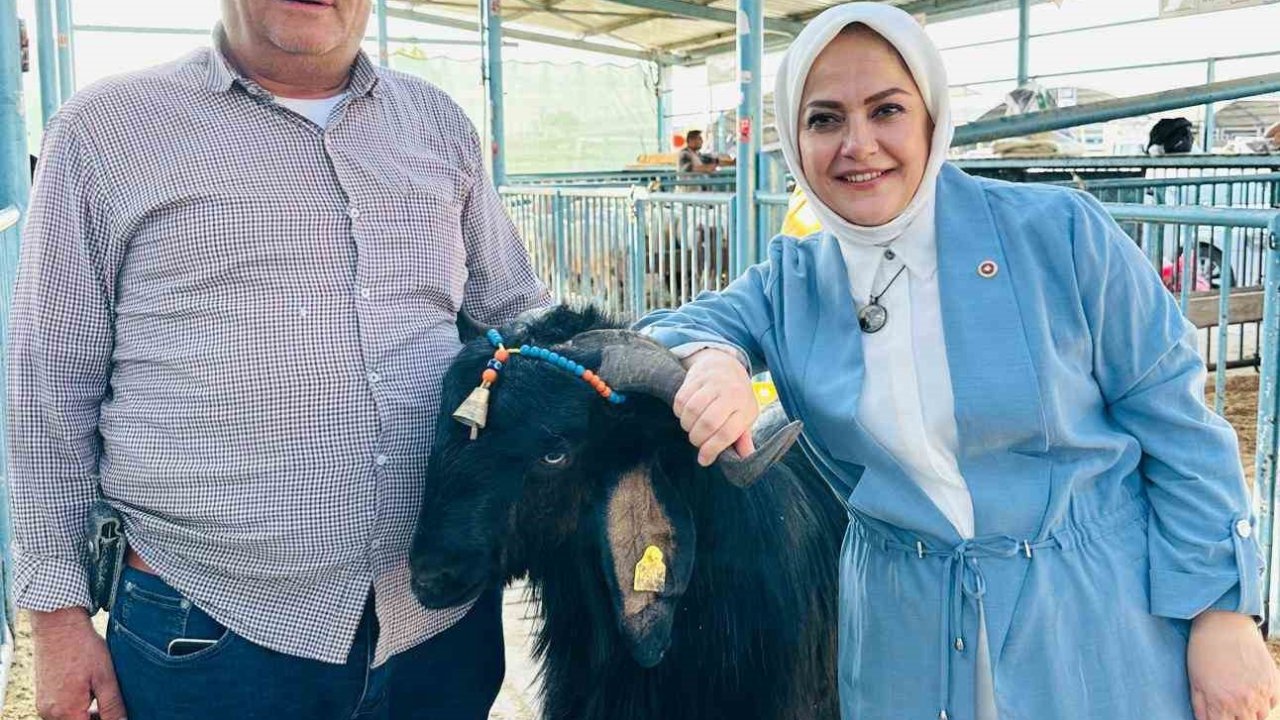 Milletvekili Sema Silkin Ün kurban pazarında yetiştiricileri dinledi