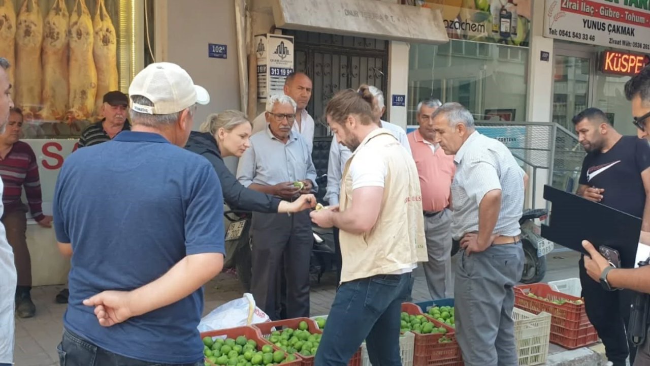 Buharkent’te ilek tezgahları denetlendi