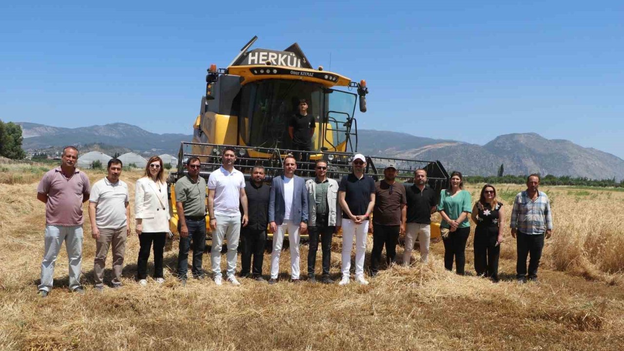 Söke Belediyesi’nde yeni sezonun buğday hasadı