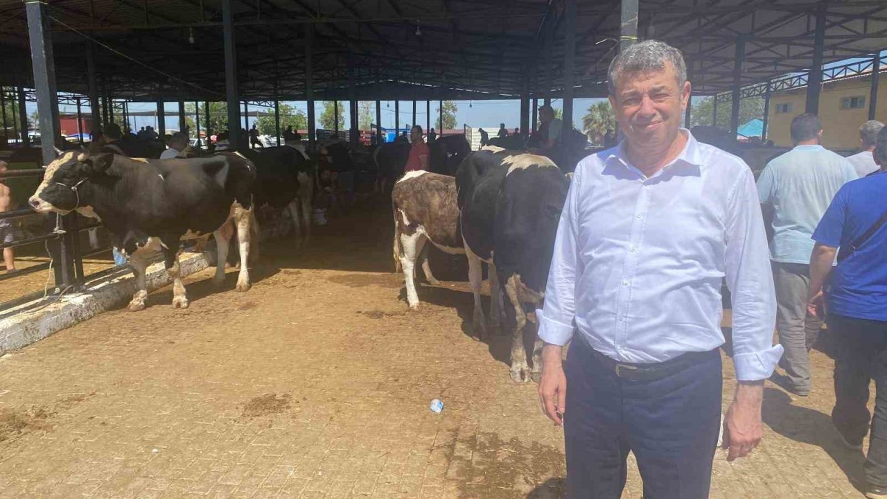 Başkan Künkcü hayvan pazarına indi