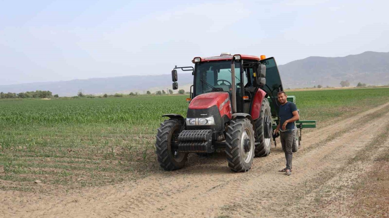 Pamuk üretim merkezi Büyük Menderes Ovası’nda kuraklık nedeniyle üretici mısıra yöneldi