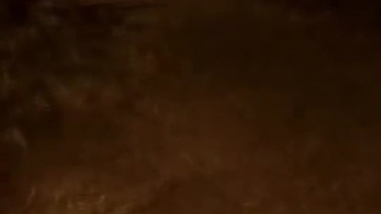 Mezarlık yanına inen ayı kamerada