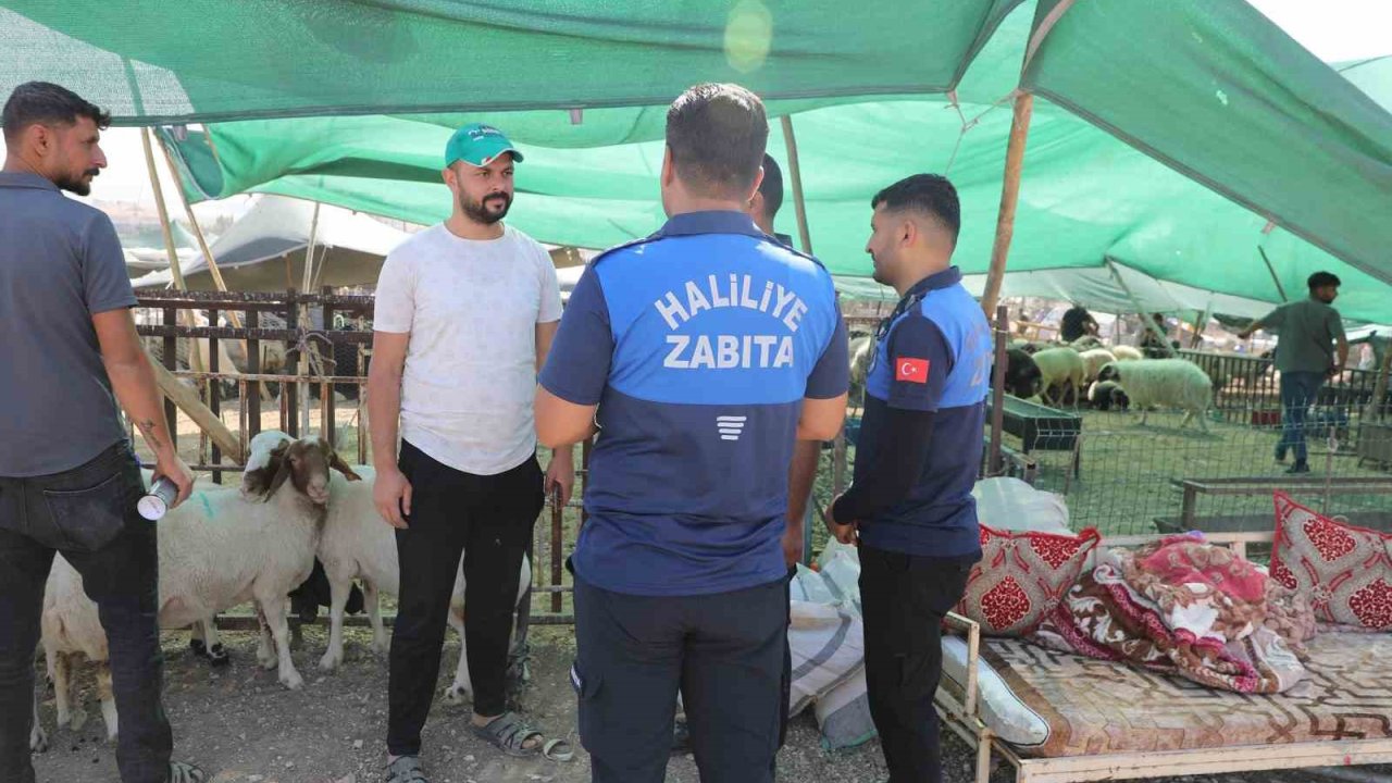 Haliliye Belediyesi 662 personeliyle sahada