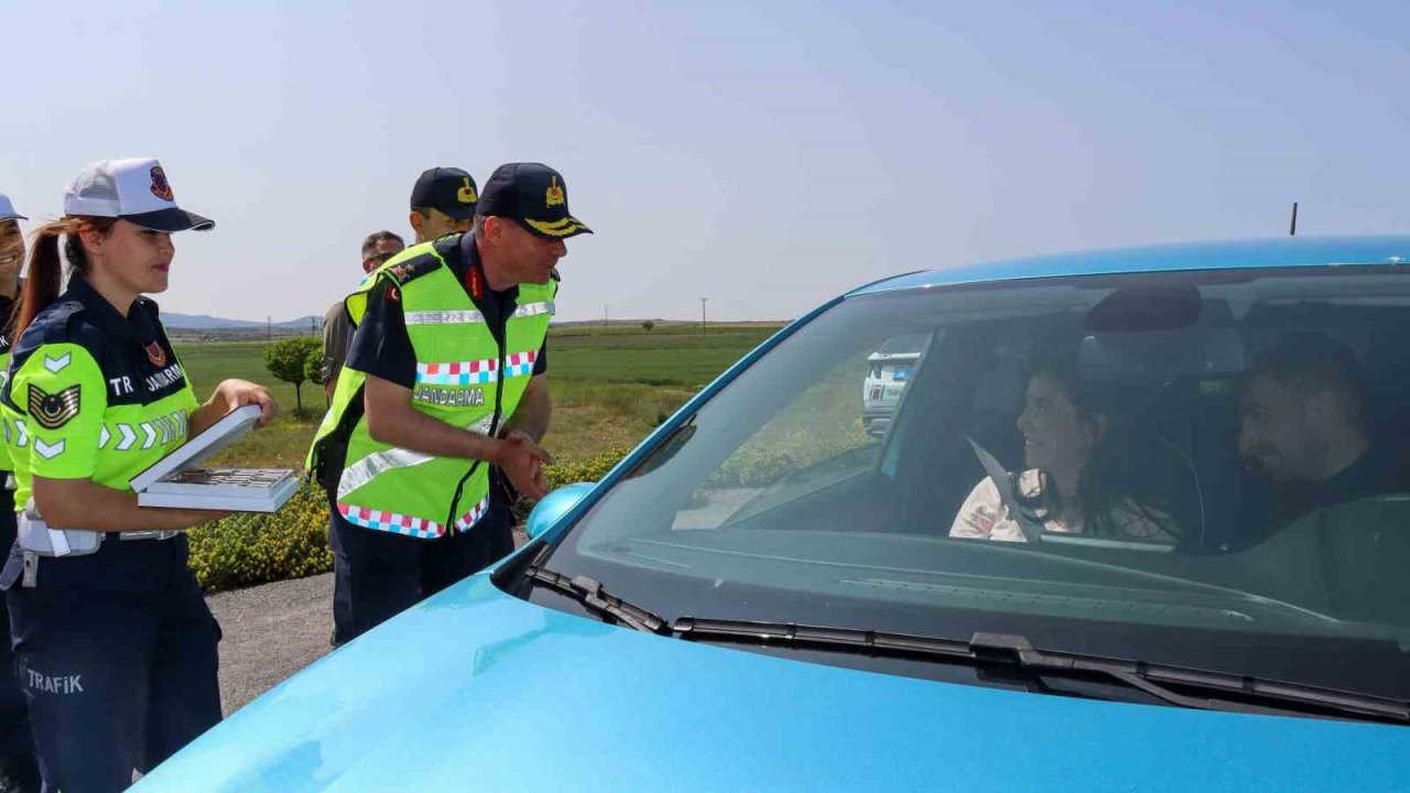İl Jandarma Komutanlığı Dedebağı, yol denetimlerine katıldı