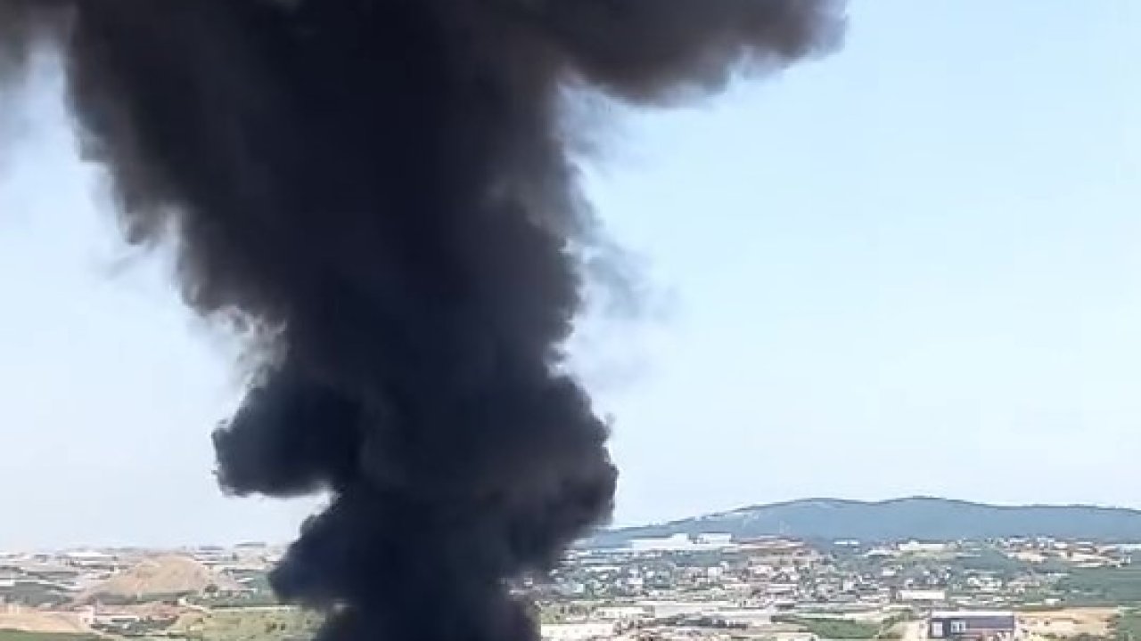 Çöp ayrıştırma tesisi bahçesinde yangın