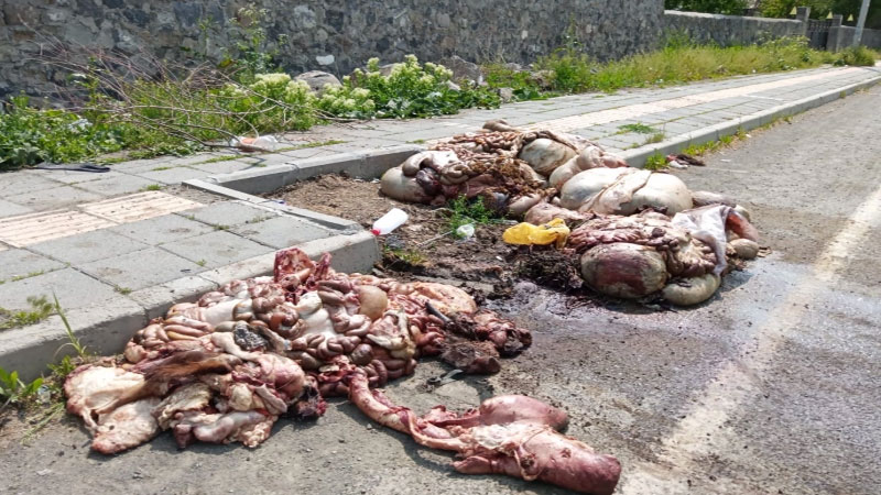 Kars'ta Bu Rezalete Belediye ne yapsın?