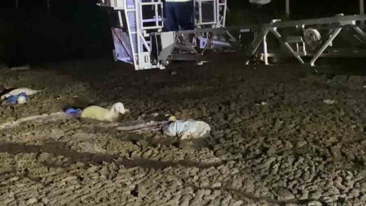 Atık dökülen alanda mahsur kalan koyunu itfaiyeciler kurtardı