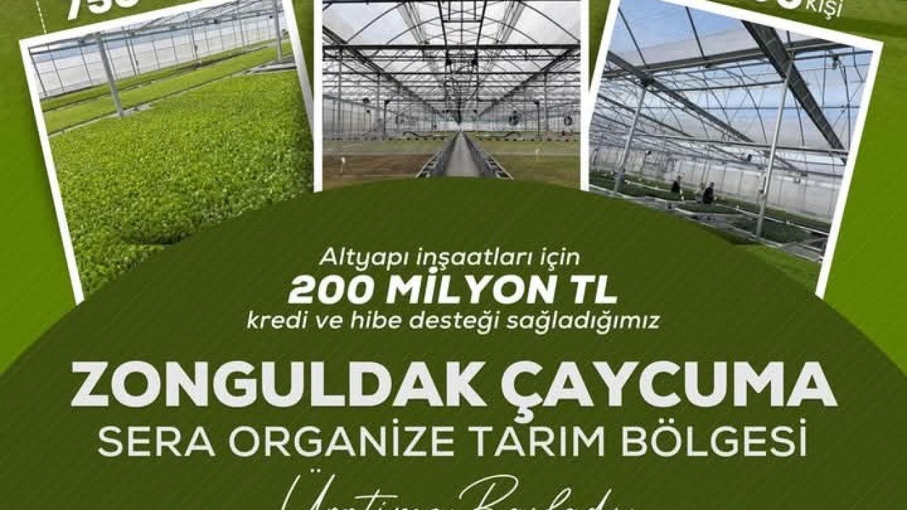 Çaycuma’da Sera Organize Tarım Bölgesi Üretime Başladı