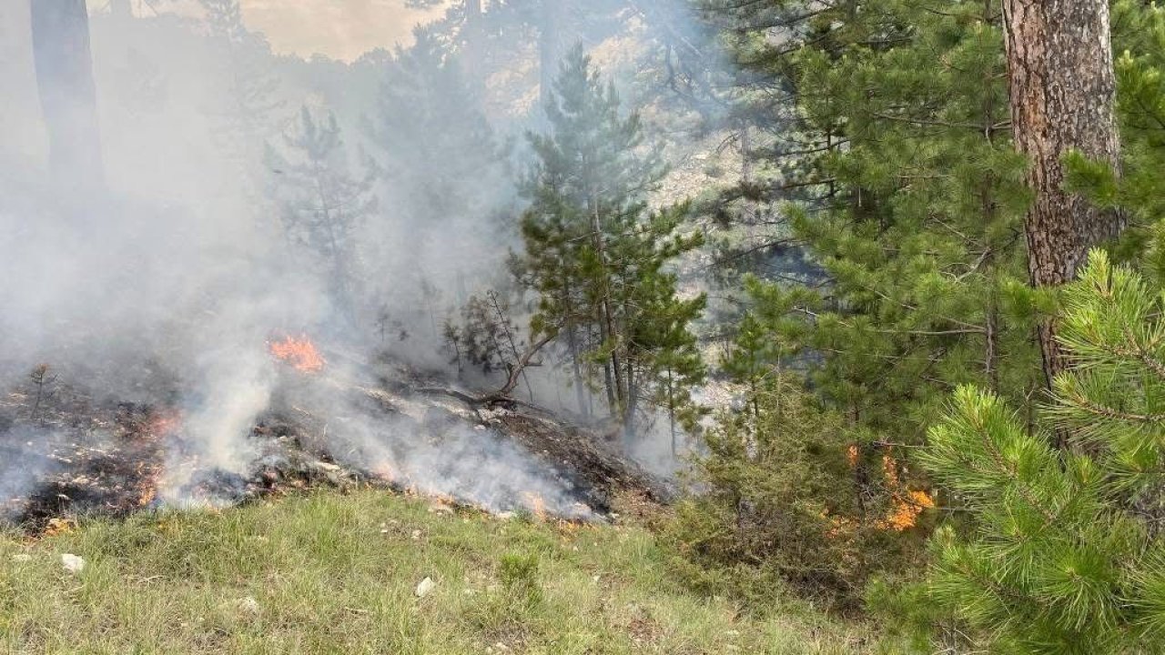 Yıldırım düşmesi sonucu çıkan orman yangını büyümeden söndürüldü