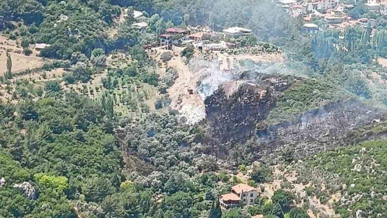 İzmir Kemalpaşa’da orman yangını
