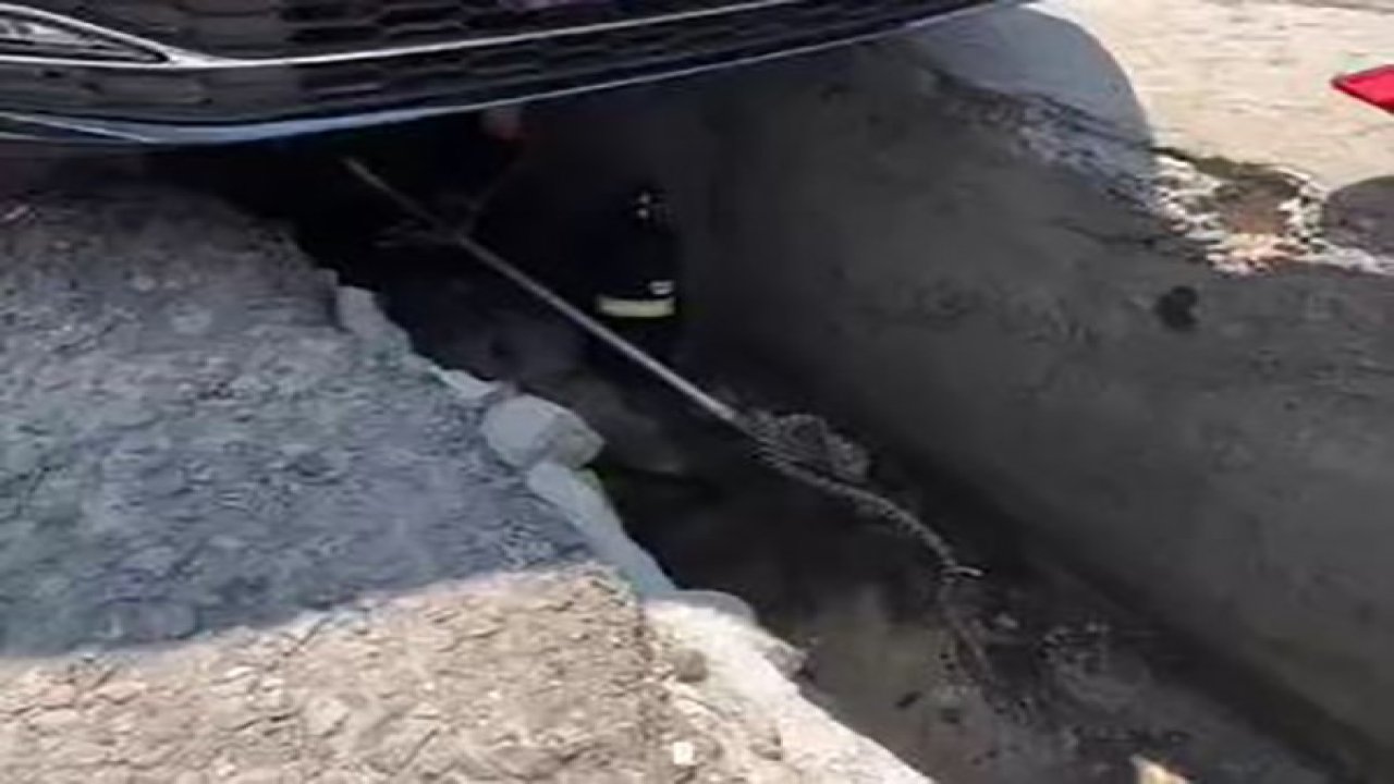 Ankara’da aracın altına giren yılan çıkarıldı