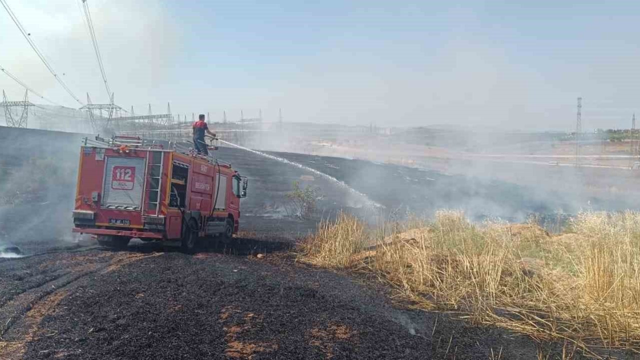 Siirt’te çıkan yangında ekili alanlar zarar gördü