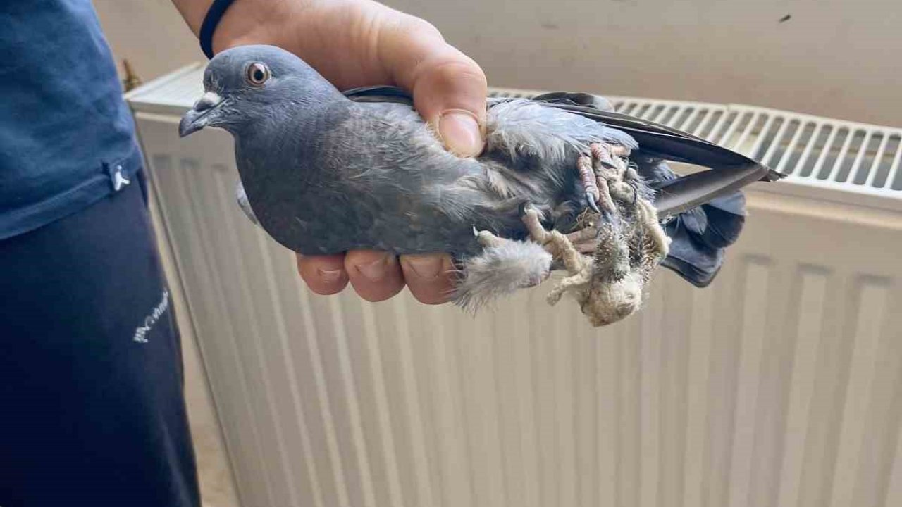Türkeli Anadolu İHL öğrencilerinden örnek davranış