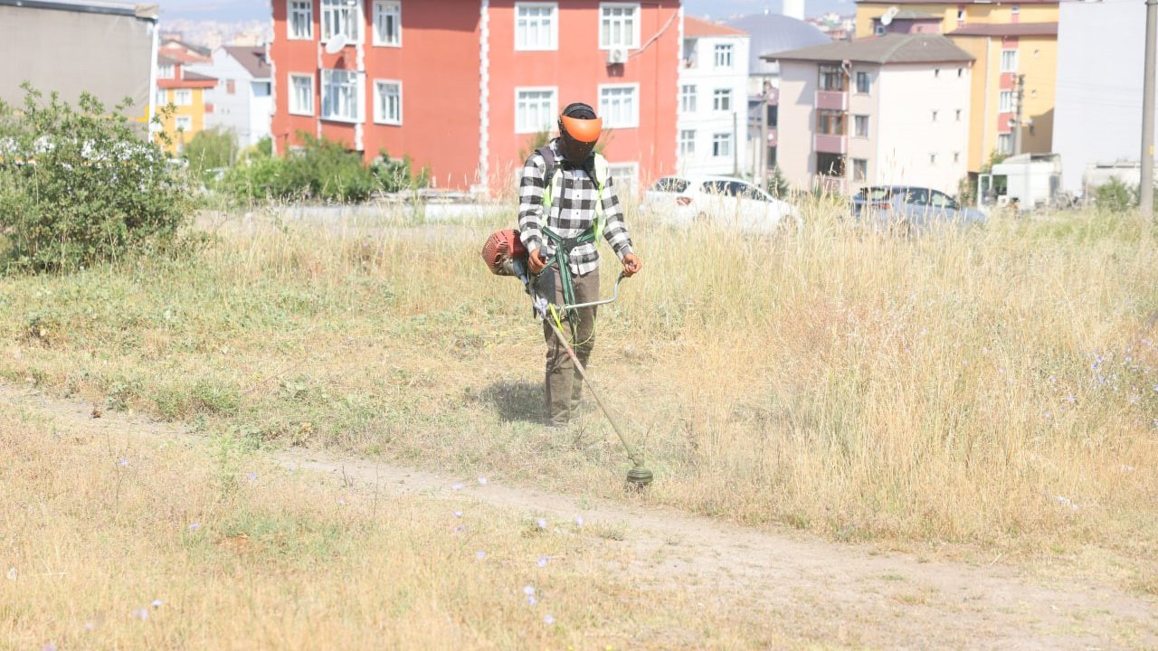 Boş arazilerdeki otlar biçiliyor
